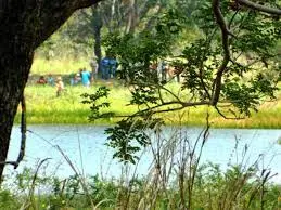 ¿EL FIN DE LOS TIEMPOS? Hallan cadáver descuartizado de una mujer en una laguna en Portuguesa
