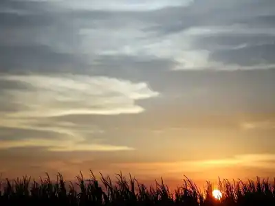 Auguran que la "Niña" impactará con períodos lluviosos leves y cortos