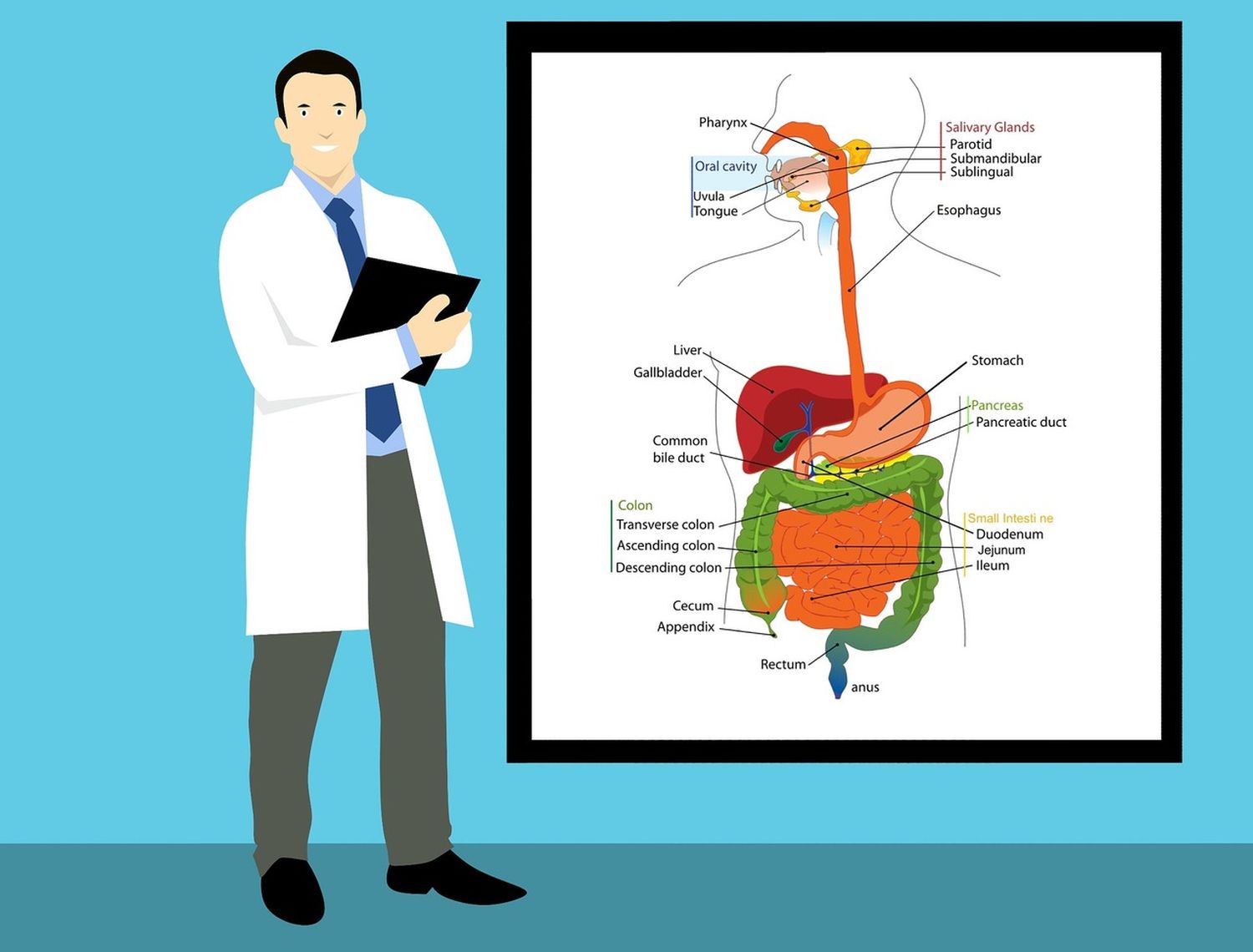 Especialidades más interesantes de la medicina