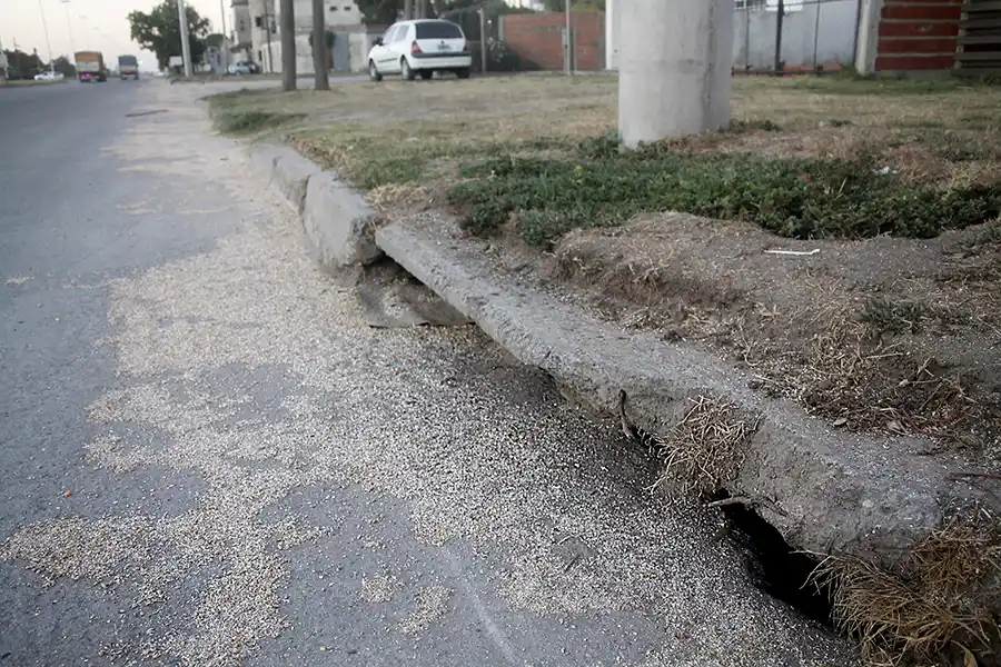 En medio de la preocupación por la fiebre hemorrágica, las ratas siguen siendo un problema