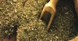 La yerba mate crece en el mercado interno y externo
