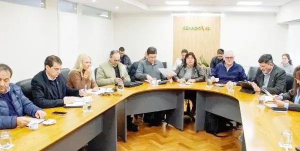 Trabajo en Comisiones: dictamen favorable para tres proyectos de ley