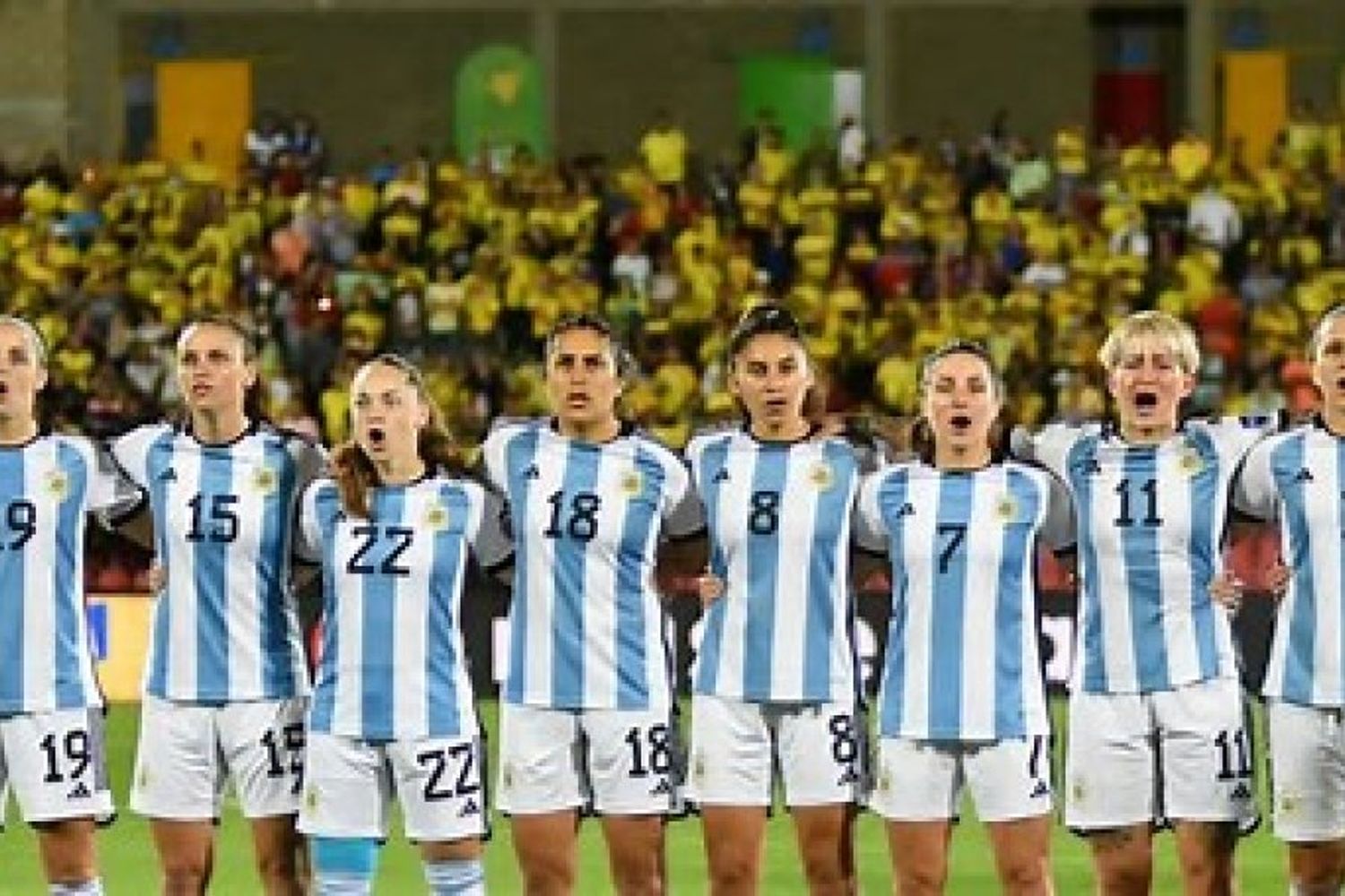 Argentina termina el año en el puesto 33º del ranking FIFA