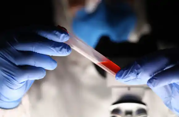 Llega el Día Nacional de la Donación de Médula Ósea: dónde se puede contribuir en Rosario