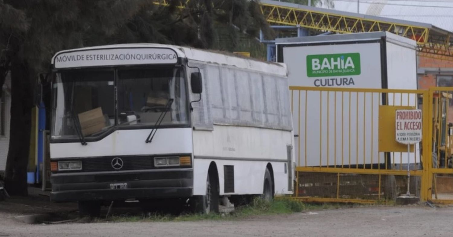 Denuncian muerte de animales en móvil de castración de Bahía Blanca