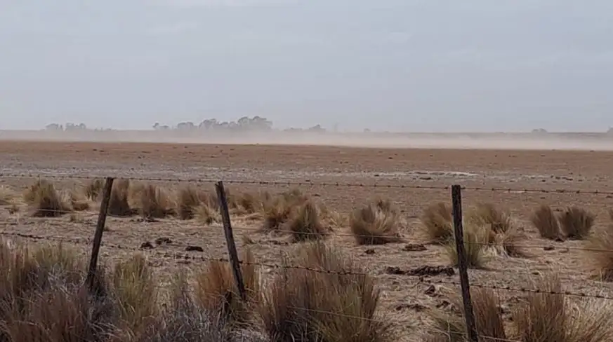 El partido de Patagones presenta particulares condiciones geográficas, climáticas y edáficas.
