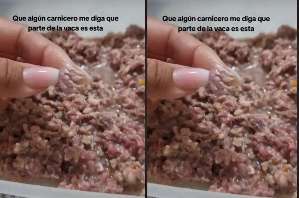 La publicación se volvió viral, alcanzando 11 millones de reproducciones y 210 mil "me gusta".