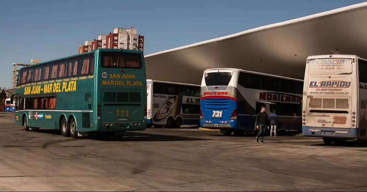 Paro de micros: en la ciudad afecta a un 50% de los servicios