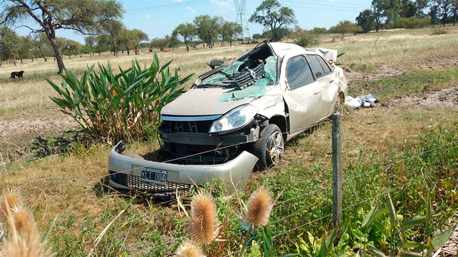 Vuelco de un auto en la Ruta 14