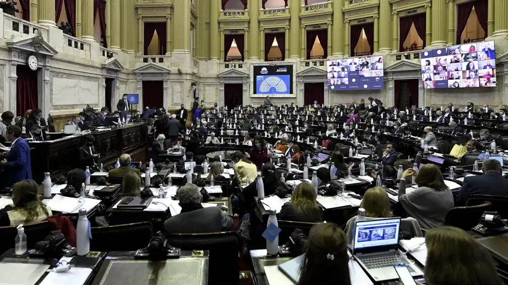 PASO: Diputados aprobó postergar un mes las elecciones 