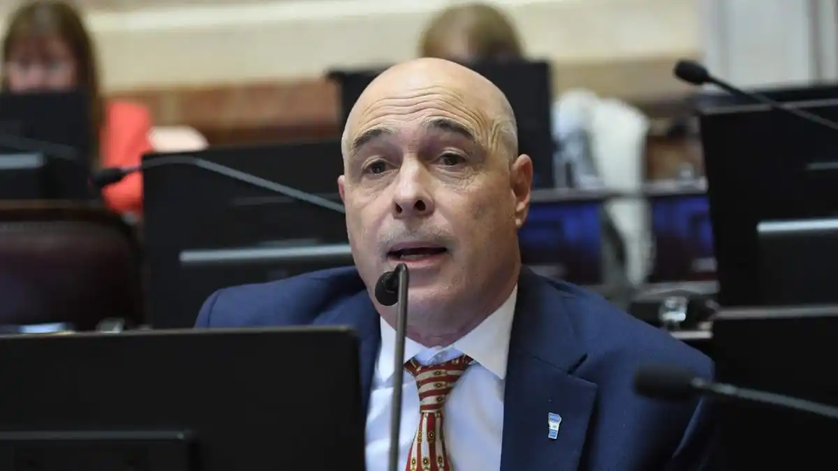 Abdala analizó su futuro en la Presidencia provisional del Senado