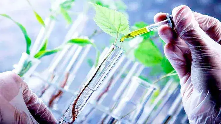 La Argentina y Brasil estrechan vínculos para impulsar los bioinsumos