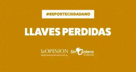 Extravió las llaves de su auto y ofrece recompensa