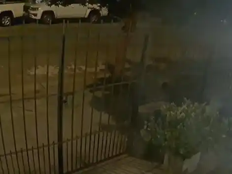 Violento robo a una vivienda: cinco encapuchados golpearon a una pareja y huyeron tras activarse la alarma