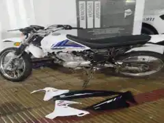Un menor de edad intentó huir tras robar una moto, pero fue detenido