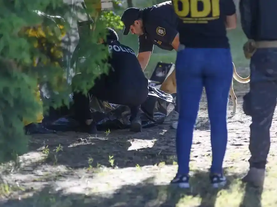 Personal de la Policía Científica trabajó en la escena y posteriormente trasladó el cuerpo a la morgue judicial.