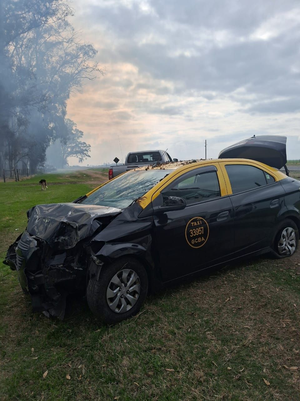 Gualeguay: un taxi despistó en Ruta 11 y provocó un incendio de pastizales