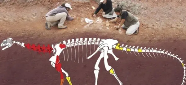 Descubrieron en San Juan restos de un dinosaurio sin precedentes en el mundo