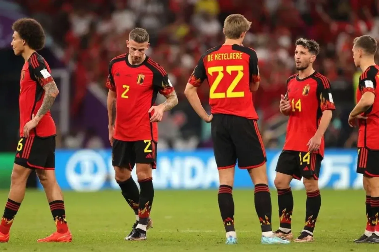 Bélgica posible rival de la Selección Argentina en el estreno del título mundial