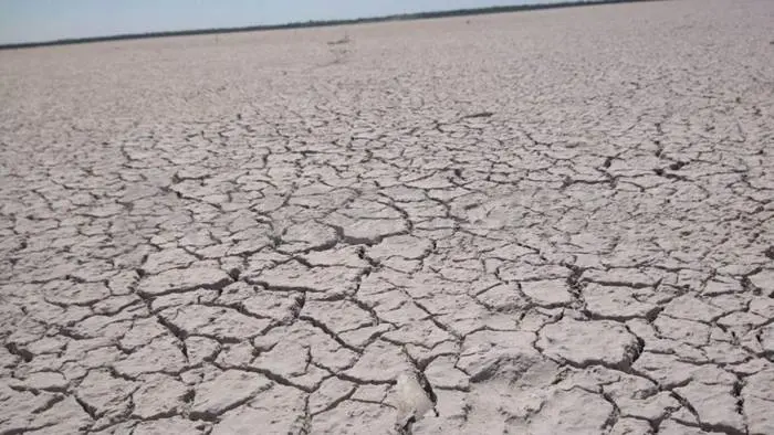 Siguen secándose  lagunas santafesinas