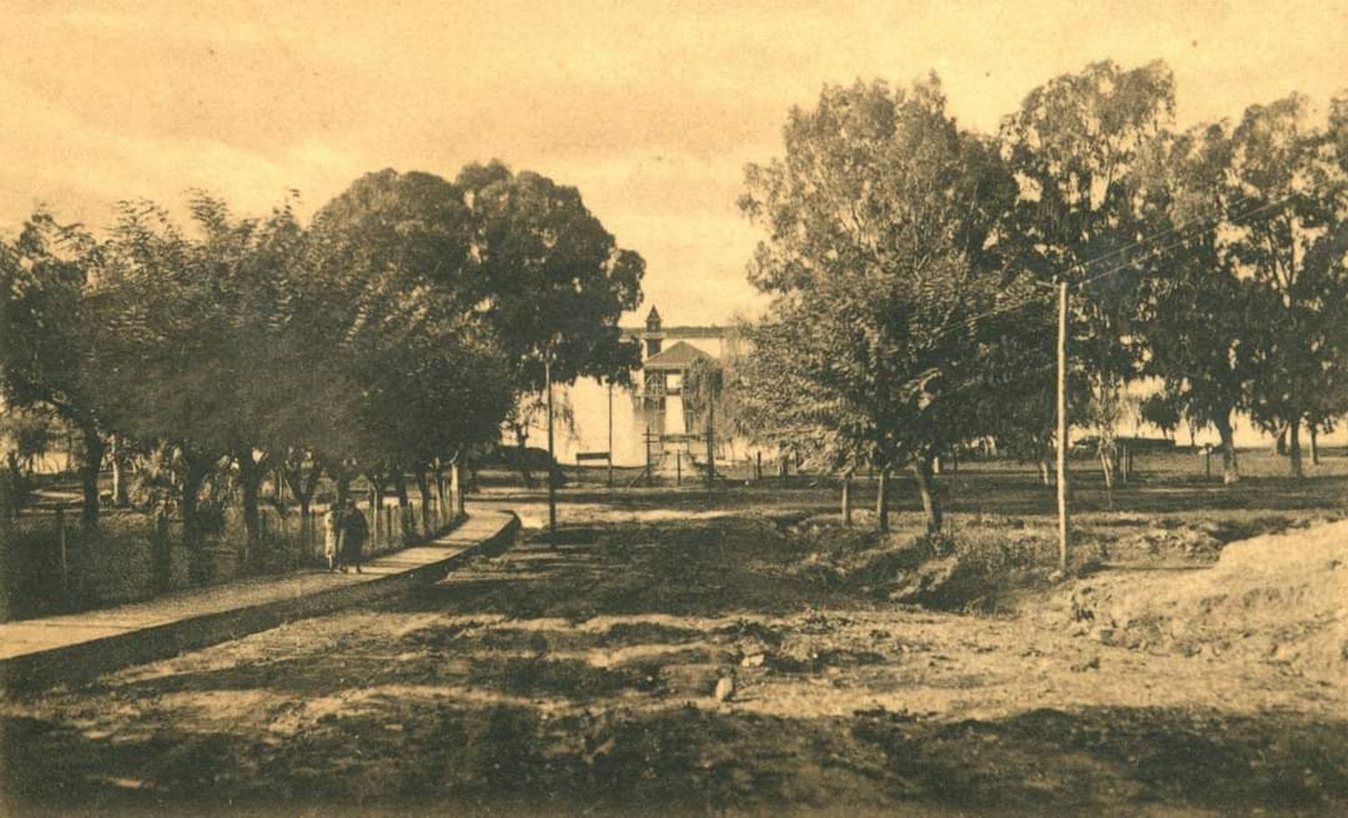 San Pedro Ciudad: 117 años, las postales del arbolado público y el paisaje natural