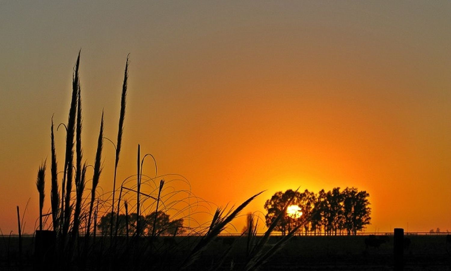¡Buen día! Domingo agradable y soleado en Gualeguaychú