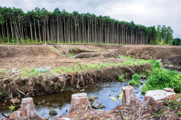 La Explotación Responsable de los Recursos Naturales
