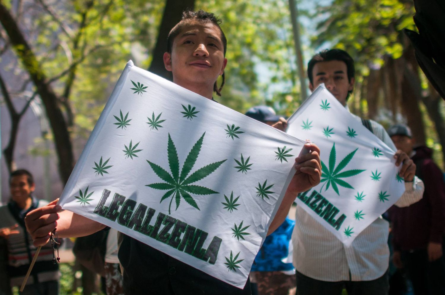 México busca legalizar el uso recreativo de la marihuana