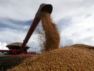 Tras la liquidación sin retenciones, hubo “nada” para productores de Tandil, dijeron referentes del agro