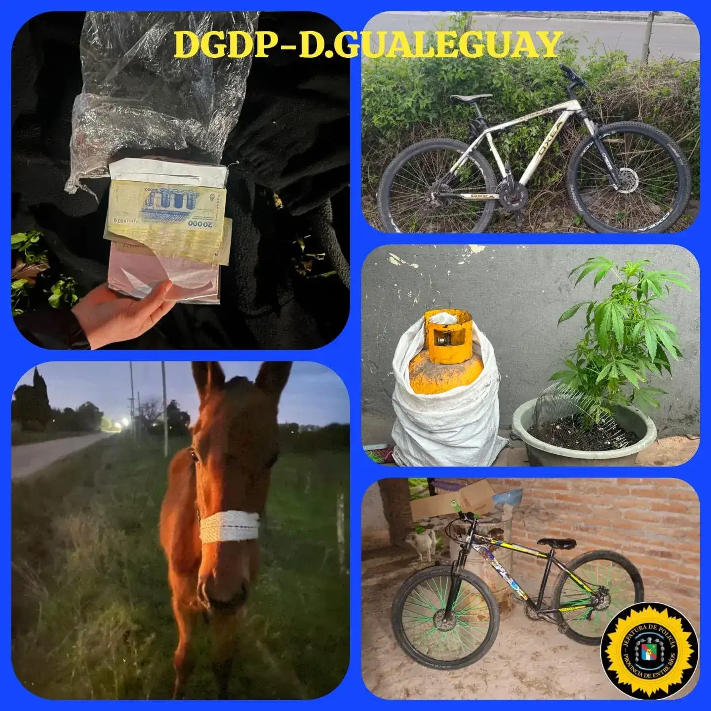 Policía recuperó dinero, bicicletas y una potranca tras distintos hechos en Gualeguay