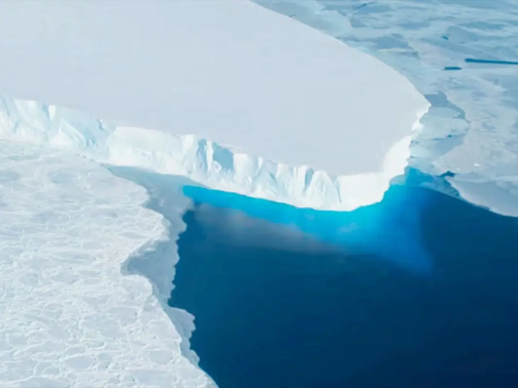 “Punto de no retorno”: advierten que el hielo antártico se derrite a mayor velocidad