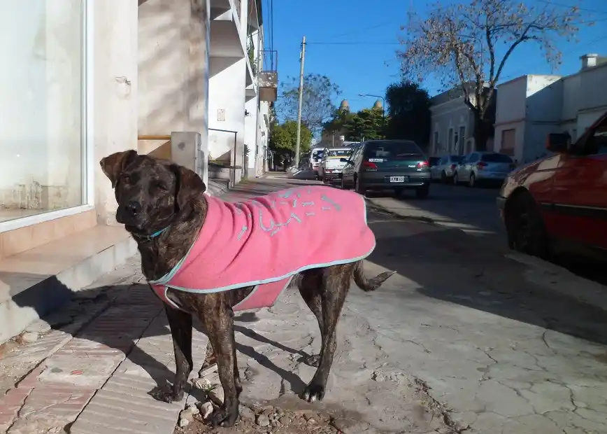 Hay que abrigarse bien por la ola polar