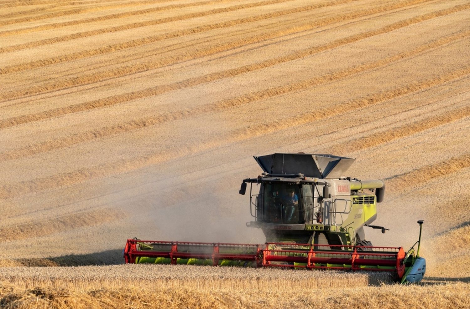 El panorama del agro marplatense en el 2021