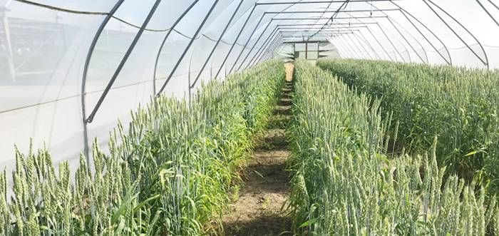 Novozymes mostró el futuro de la  bioagricultura