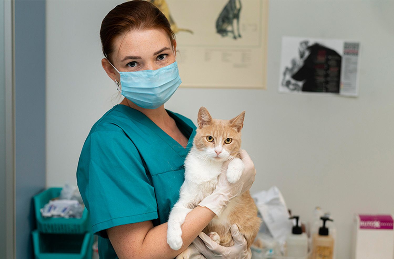 Día del Veterinario: "La Organización Mundial de la Salud está luchando por una sola medicina"