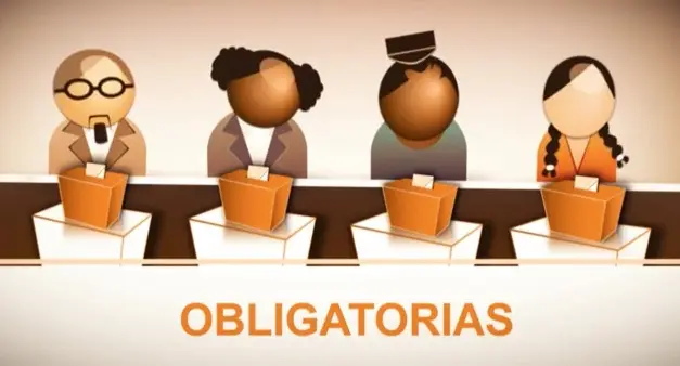 Elecciones 2013: Gobierno de Scioli difunde spot informativo sobre las primarias