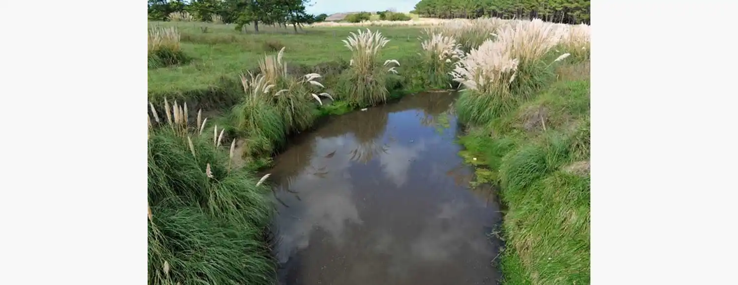 Menor mutilado: el lunes se realizan las pericias de ADN