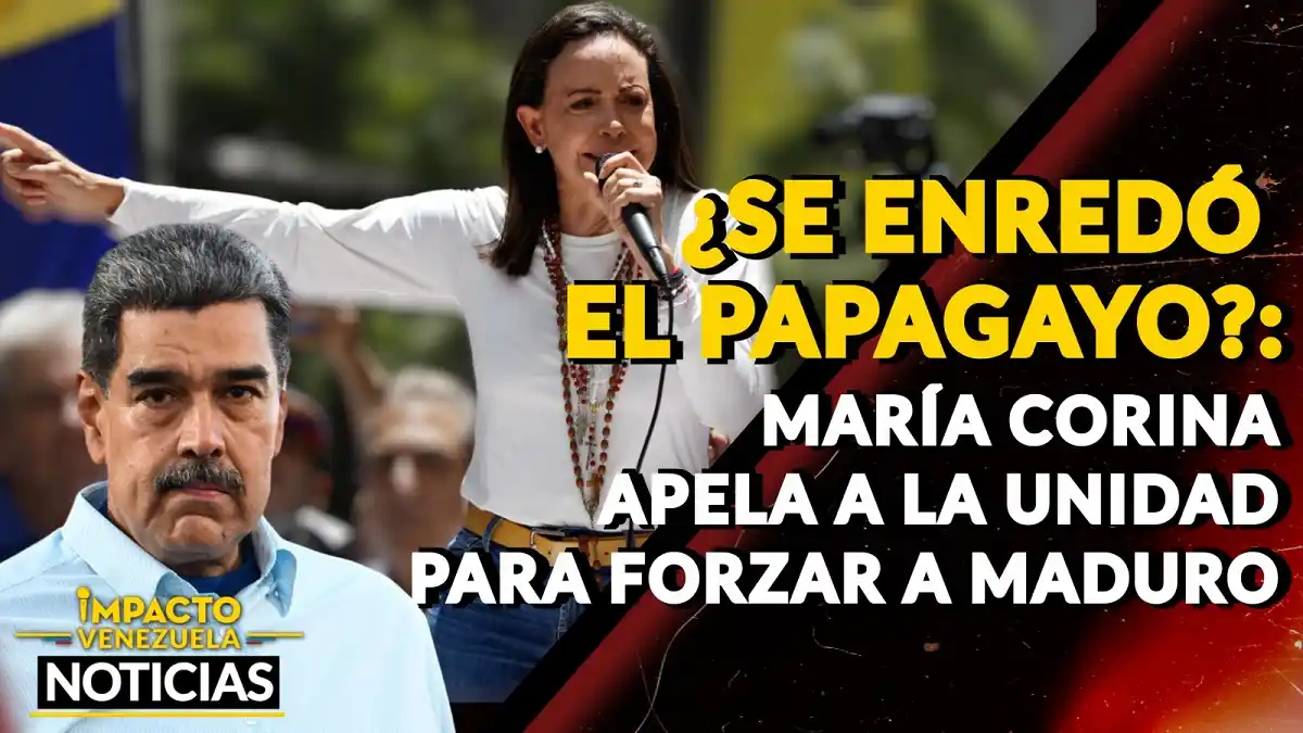 ¿SE ENREDÓ EL PAPAGAYO? María Corina apela a la unidad para forzar a Maduro