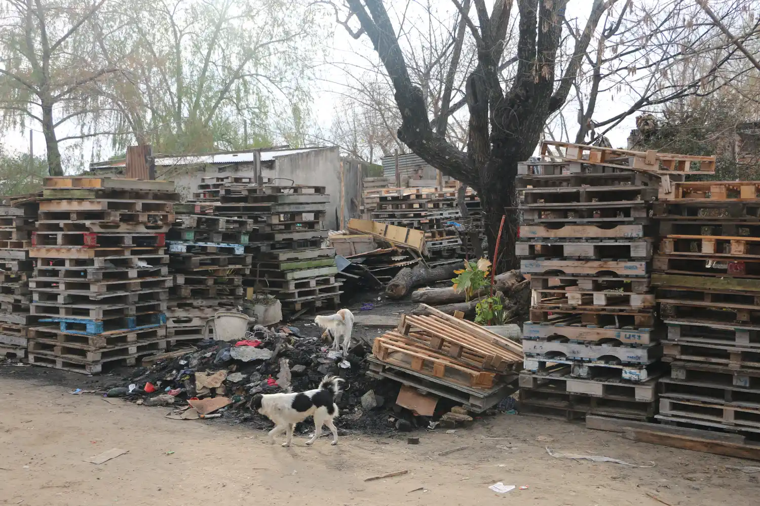 La tragedia y la solidaridad: "Después del fuego nos quedamos con lo puesto" 