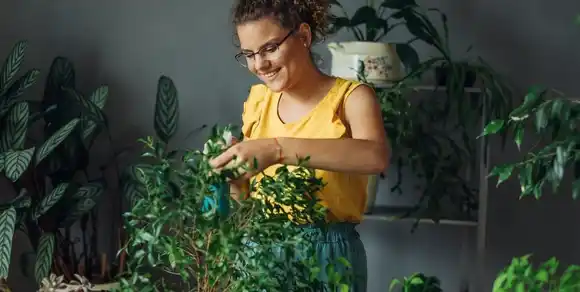 ¿Por qué tus plantas no sobreviven? Estos son los errores más comunes en el cuidado del jardín