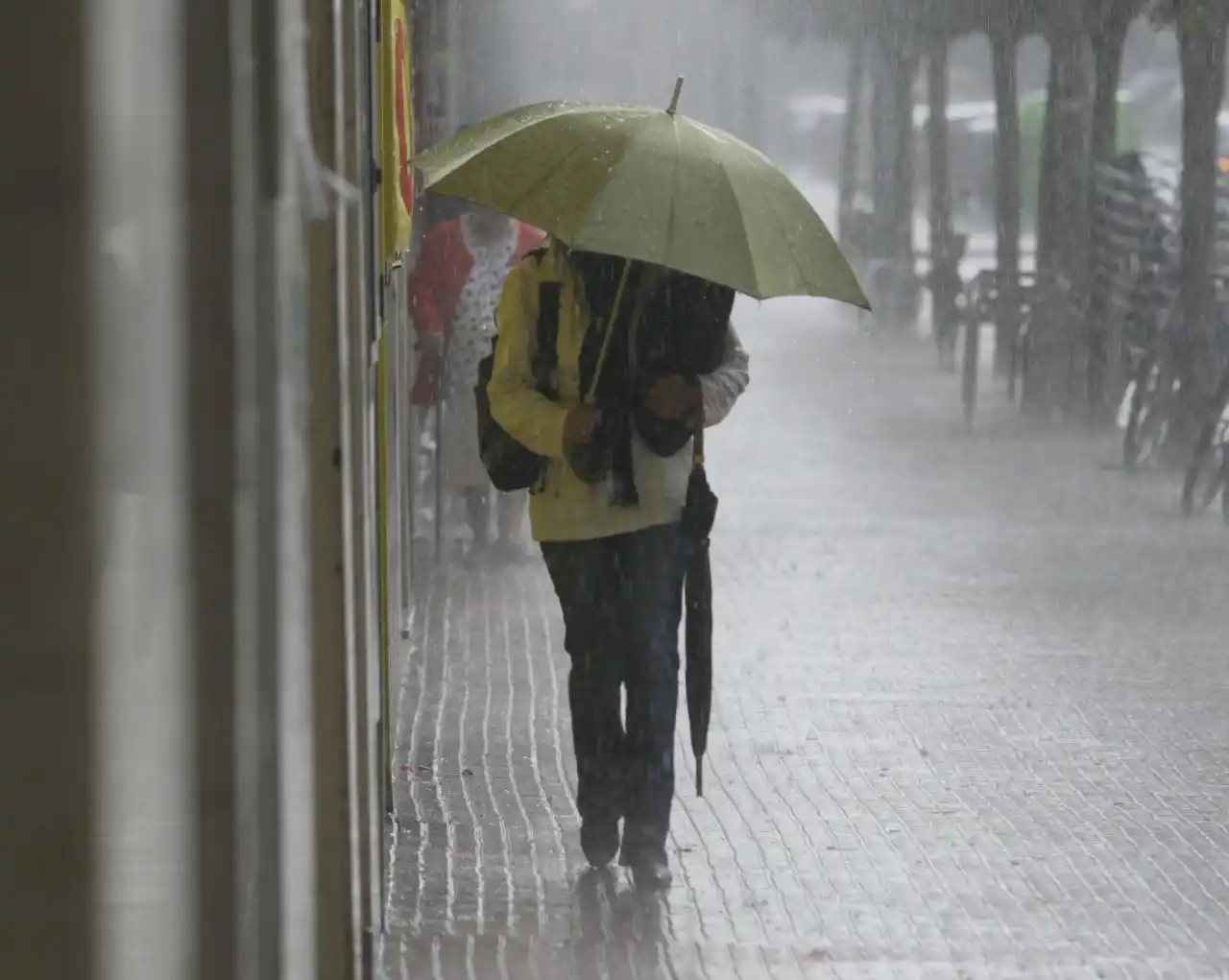 Rige un alerta amarillo por vientos, con ráfagas que llegarían a los 75 km/h