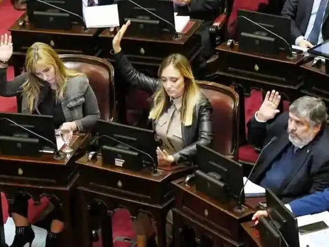 Senadores de UP contra el anuncio de Milei: “Su
modelo pretende vacas gordas y salarios flacos”