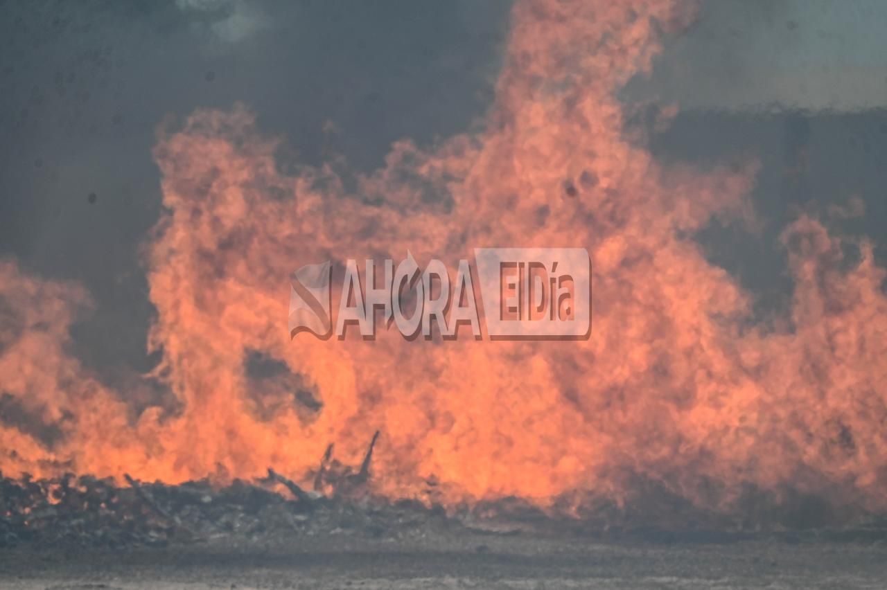 incendio pallets - 1