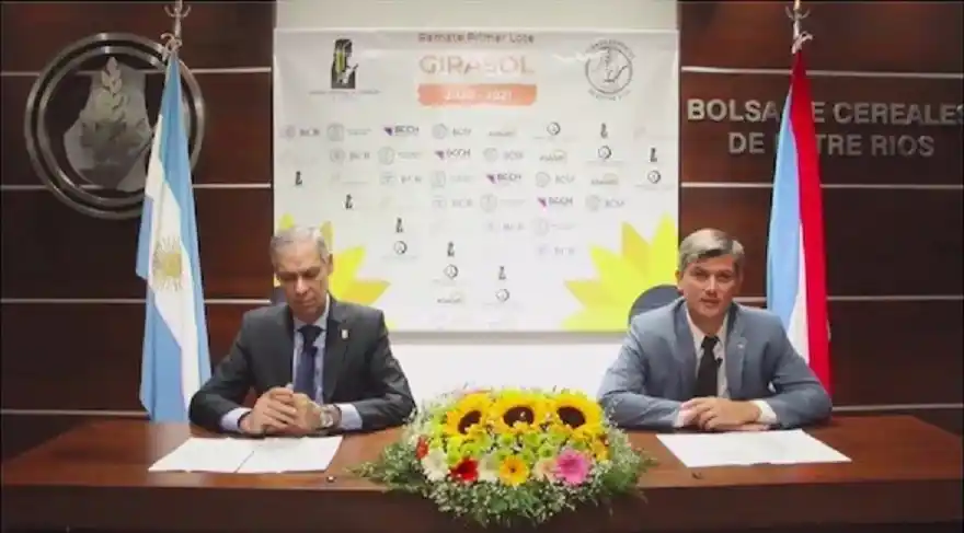 Desde Paraná, se remató el primer lote de girasol