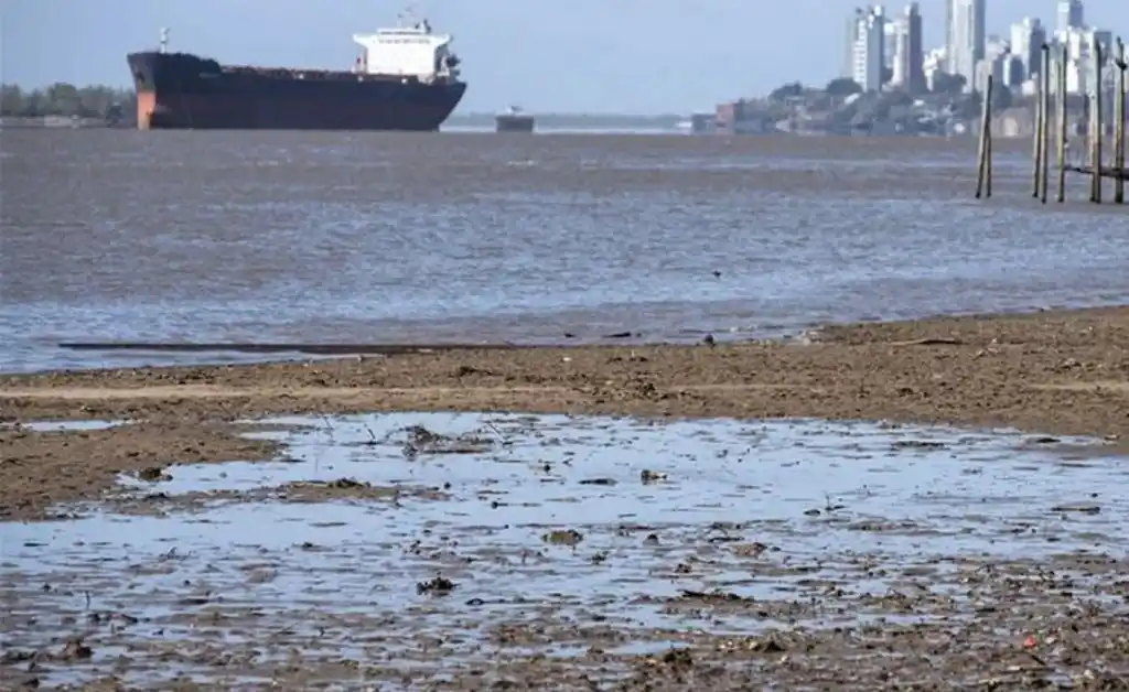 La bajante del Paraná ya provocó pérdidas por u$s 620 millones en exportaciones