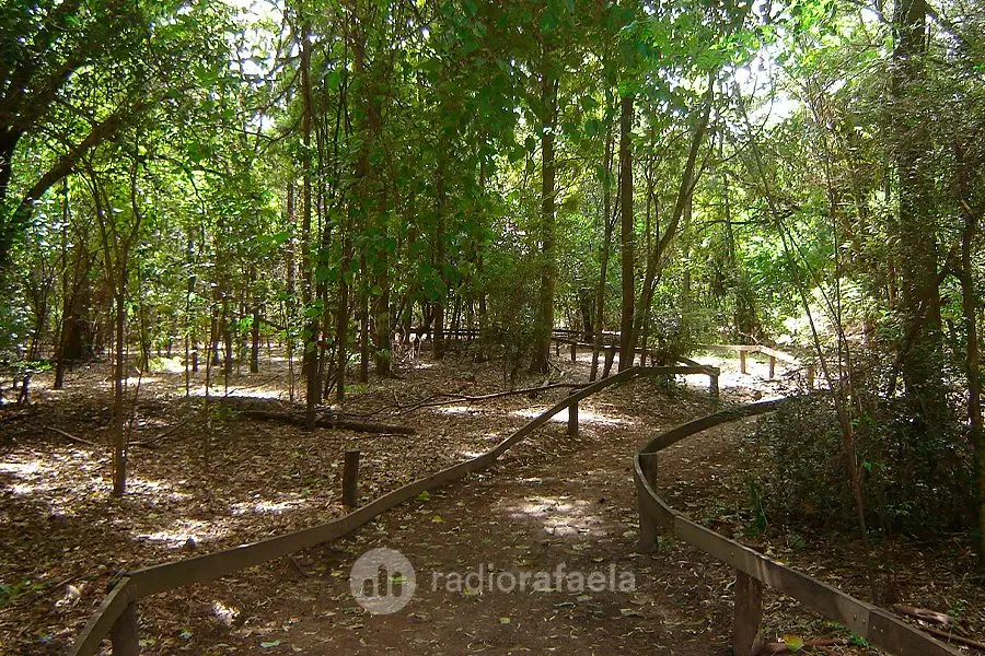 Clausuraron accesos al Bosquecito Besaccia por obras de pavimentación en bulevar Yrigoyen
