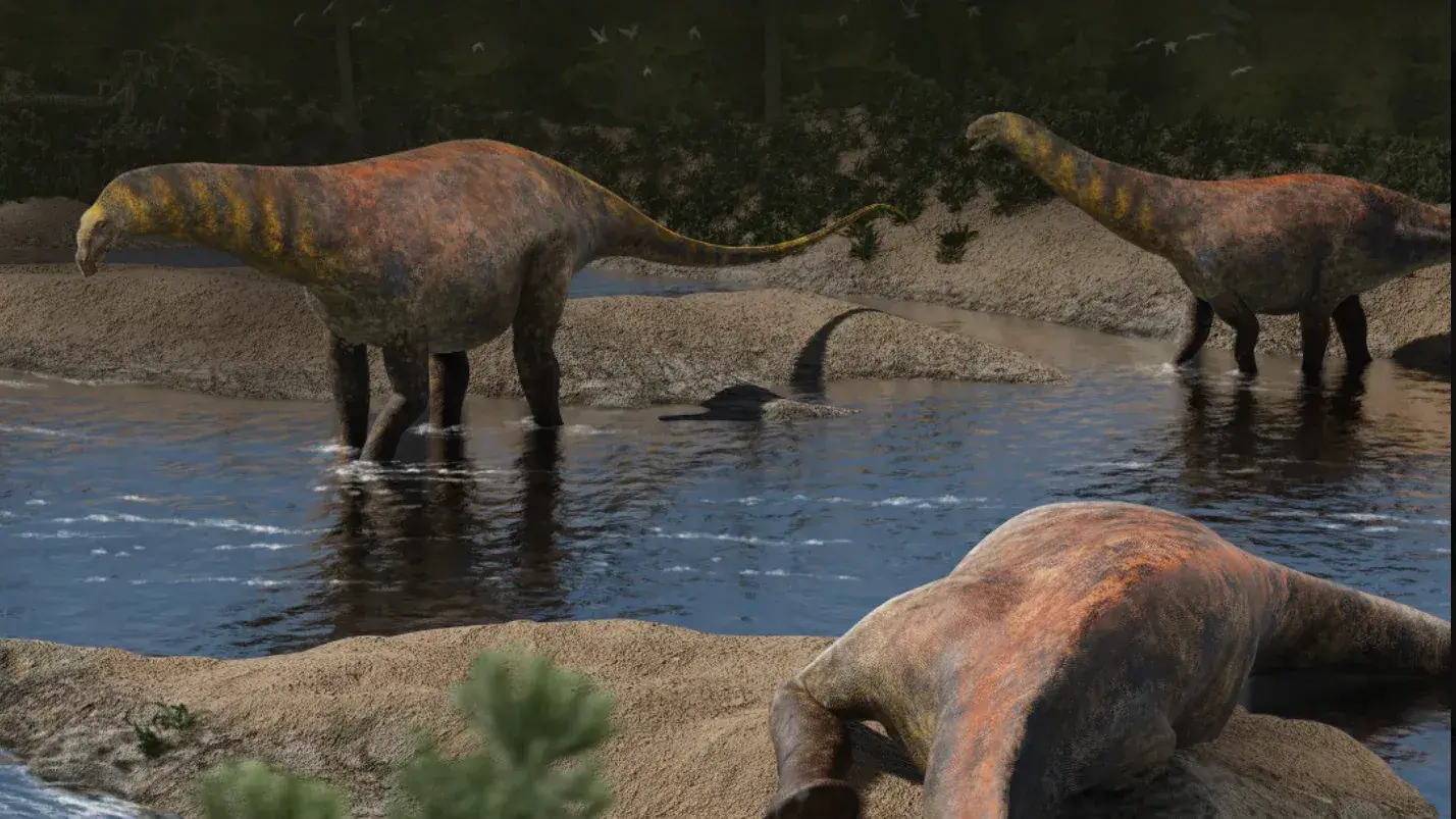 Reconstrucción digital de Astigmasaura genuflexa, la nueva especie de dinosaurio saurópodo descubierta en Argentina.