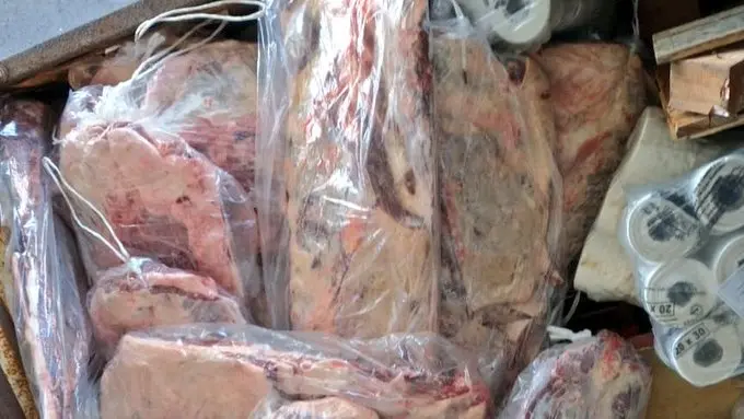 Bahía Blanca: Hallan 80 costillares escondidos entre productos de ferretería y al aire libre