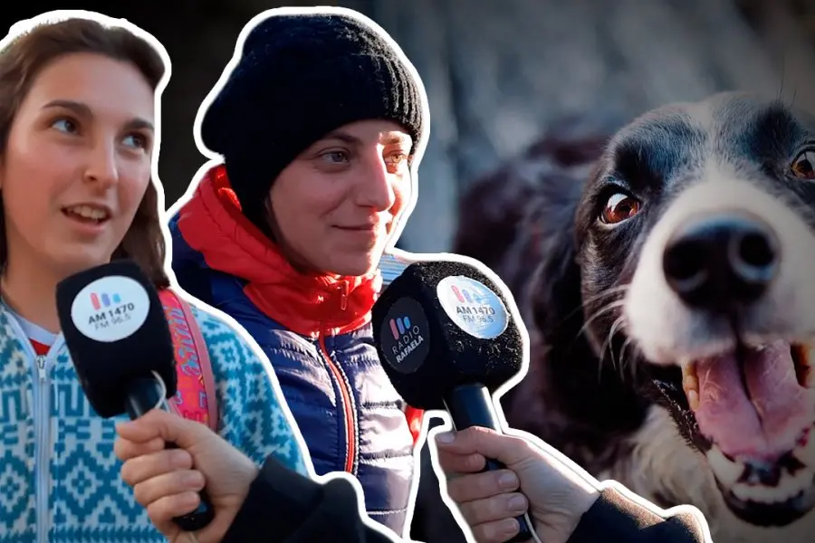 VIDEO | Salimos a conocer las mascotas de los rafaelinos: ¿qué compañía gana?, ¿perros o gatos?