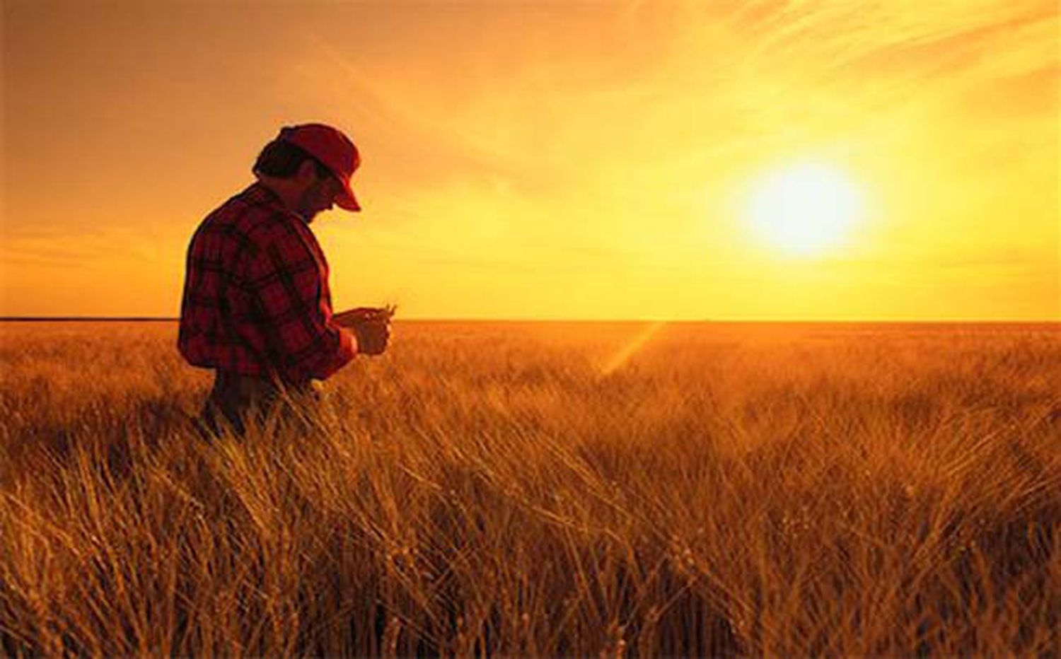 Labor fundamental. El ruralismo atraviesa a la economía local